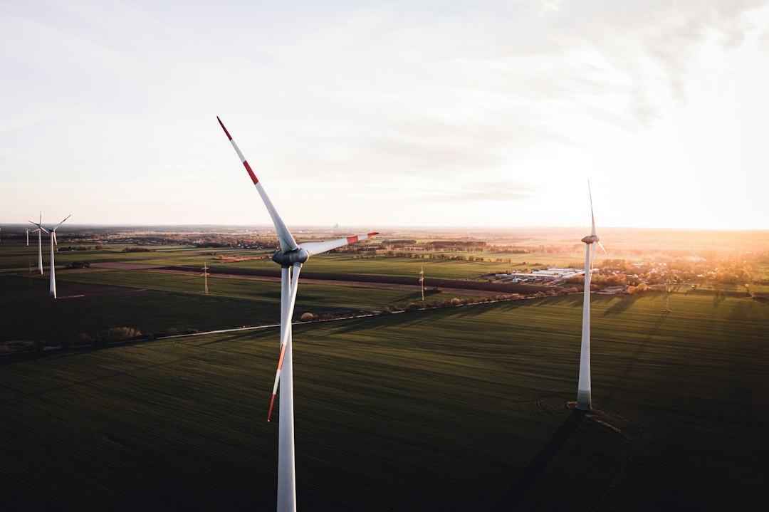 Energiezuinig wonen in de winter: met deze kleine aanpassingen houd je warmte beter vast